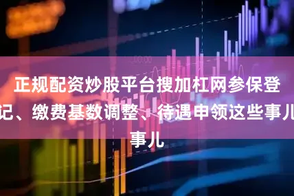 正规配资炒股平台搜加杠网参保登记、缴费基数调整、待遇申领这些事儿